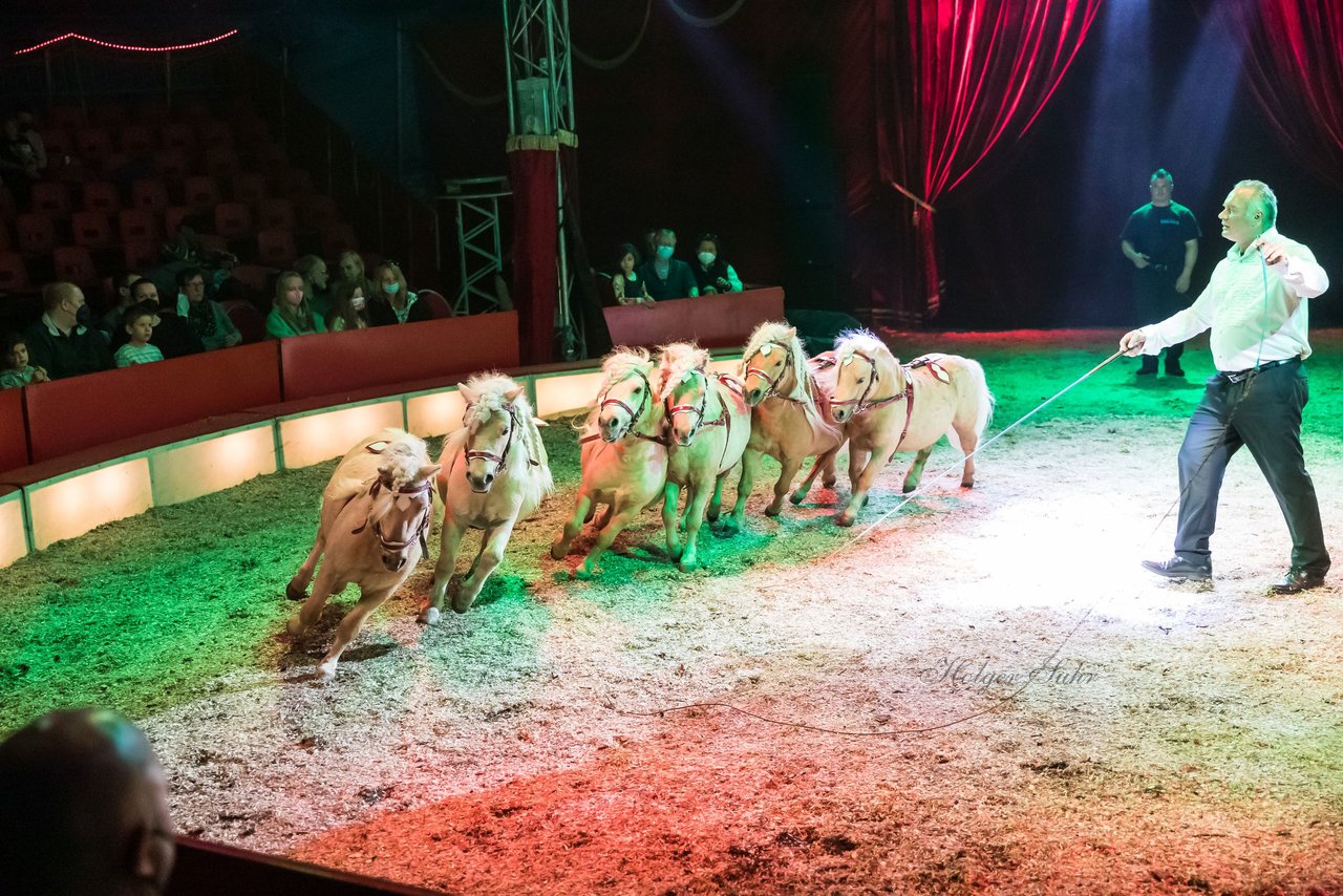 Bild 371 - Zirkus Europa